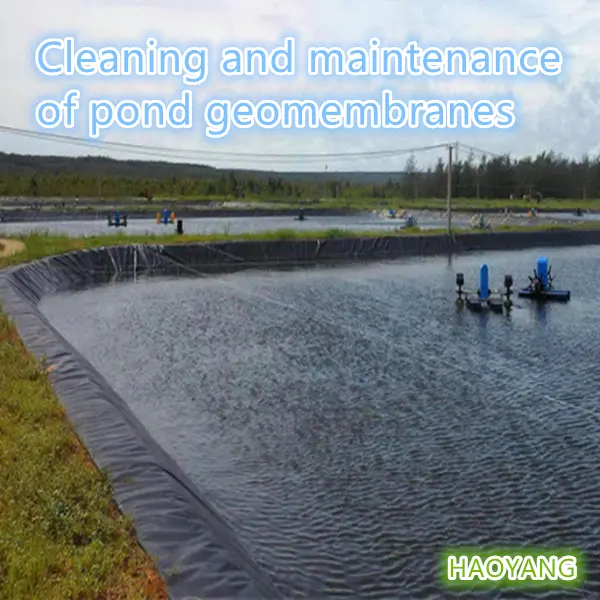 Cleaning and maintenance of pond geomembranes  ls